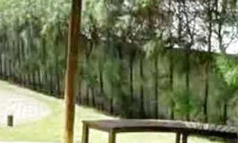 Imagem 7: Apartamento 4 Quartos para Venda em Cabedelo, Ponta de Campina, 4 dormitórios, 4 suítes, 4