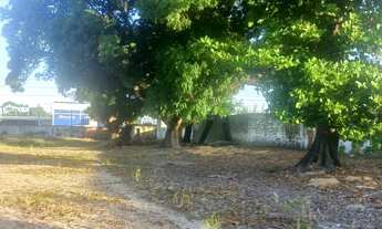 Imagem 2: Lote/Terreno para aluguel e venda tem 8042 metros quadrados em Messejana - Fortaleza - CE