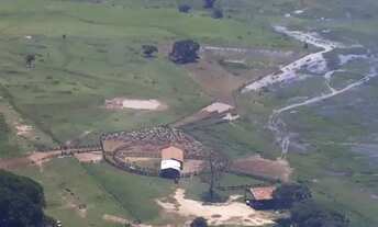 Imagem: Fazenda/Sítio/Chácara para venda com 88000