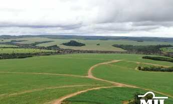 Imagem: Fazenda em Mineiros-GO. (208 Alqueires