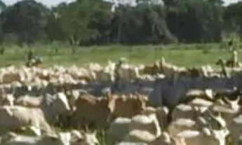 Imagem 2: Fazenda/Sítio/Chácara para venda com 88000 metros quadrados em Centro - Poconé - MT