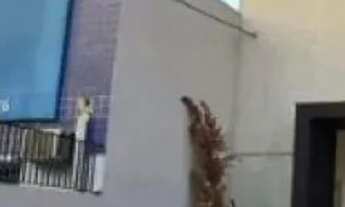 Imagem 2: PRÉDIO - LAPA - SP