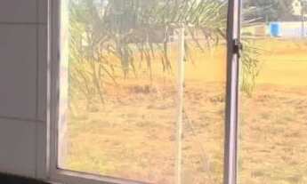 Imagem 7: Apartamento 2 quartos