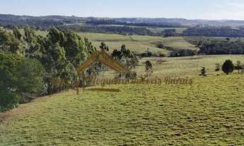 Imagem 6: Sitio com 12 alqueires na região de Itapetininga-SP
