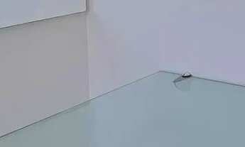 Imagem 7: Apartamento Térreo no Geisel/Cuia com 2 Quartos sendo 1 Suíte, Piscina, Salão de Festas