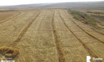 Imagem 3: FAZENDA MONTE BELO LUIZLÂNDIA DO OESTE - MG