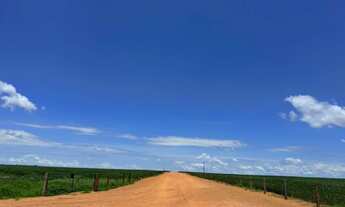Imagem 3: R$200 Milhões Fazenda de 4.862 ha em TO