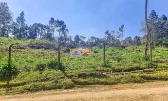 Imagem: Vendas Terreno Tijucas Do Sul PR