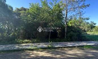 Imagem 4: Terreno à Venda em Nova Petrópolis