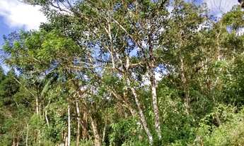 Imagem: 20 mil MTS rico em agua 79 mil reais 14