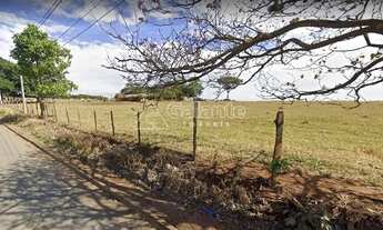 Imagem 4: área - João Aranha - Paulínia