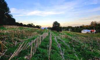 Imagem 3: Terreno para Venda em Nova Petrópolis, Pinhal Alto
