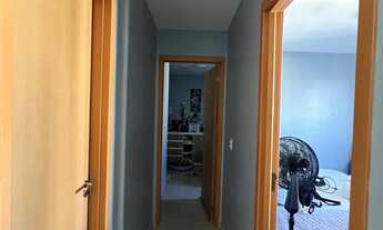 Imagem 4: Vista das embaúbas - Mosaico