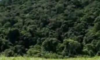 Imagem: Lotes para moradia no interior de SP