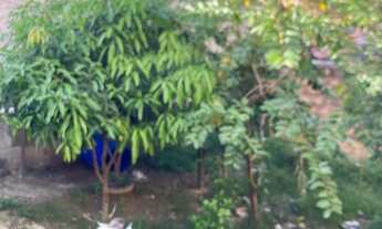 Imagem 2: Vendo um lote no Bairro jardim Teresópolis Betim, Fácil acesso para a BR 381