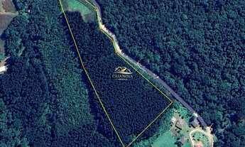 Imagem 2: Chácara em Campo Magro