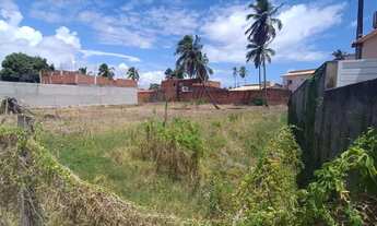 Imagem 5: Terreno Maragogi