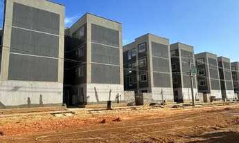 Imagem 6: 070 // AP NO MAIOBAO NA PLANTA