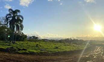 Imagem 4: Imóvel para venda tem 1000 metros quadrados em Centro - Jacareí - SP