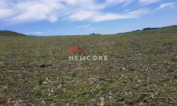 Imagem 2: Fazenda em Lageado Grande - Tainhas - São Francisco de Paula/RS