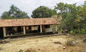 Imagem 7: Chácara 1 alqueire em Aragoiania