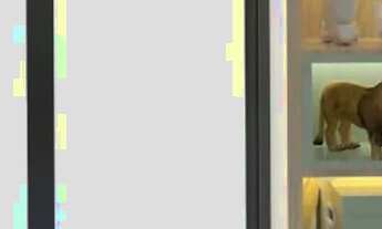 Imagem 4: Apartamento para aluguel HARISSA 165m2, 3 suítes, 3 vagas garagem, Jardim das Américas - C