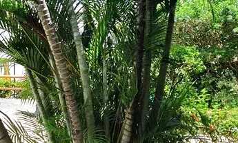 Imagem 7: Cores de Piatã Residence, Triplex, 4 Quartos, 2 suítes,150 m², 02 varandas, dependência