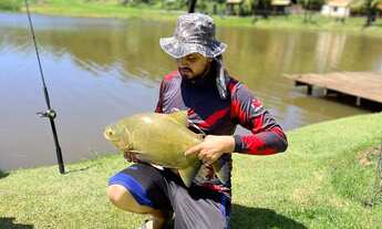 Imagem 2: Condomínio de chácaras a 30 km de Goiânia e 15 km de trindade