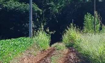 Imagem 5: Vendo linda chácara..