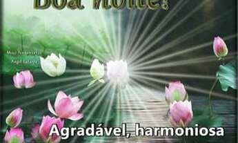 Imagem 5: Aluga apartamento