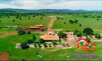 Imagem 4: Fazenda 1.750 alqueirão ( 8.470 Hectares ) Região de Alvorada do Norte -GO