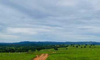 Imagem 6: 648 Alqueires em Doverlandia Go