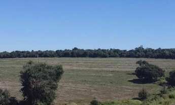 Imagem 3: Sítio De 17,7 Alqueires Na Região De Patrocínio Paulista/SP