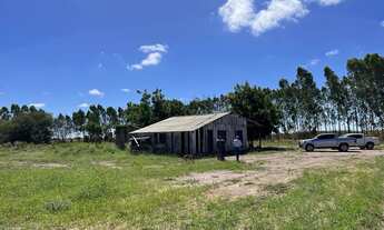 Imagem 3: Vendo Fazenda de 10.500 hectares, Município do Piauí !!!