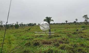 Imagem 5: Venda - Sítio - Theobroma - Theobroma