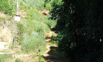 Imagem 2: Terra em Limoeiro rod. V. Nova x Castelo