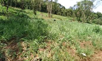 Imagem 4: Otima chacara a venda 20.500m2