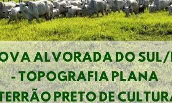 Imagem: Fazenda 110 Hectáres Nova Alvoada Do Sul/MS