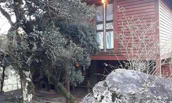 Imagem 6: Área Rural com 2,00ha de área total, para venda. Jararaca, Urubici (SC