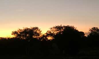 Imagem 6: Vendo lindo Sítio em São Vicente, Araruama RJ