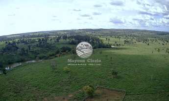 Imagem 6: Venda - Sítio - Vale do Anari - 25 Alqueires escriturada