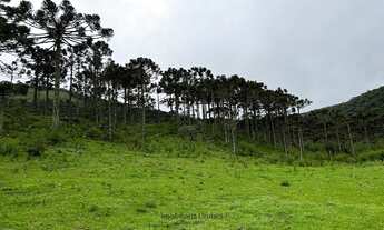 Imagem 7: Urubici/Sítio/Chácara á venda em Urubici