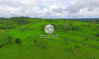 Imagem 6: Venda - Fazenda - Machadinho D'Oeste - 214 Alqueires top tim