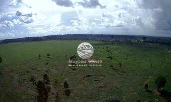 Imagem 3: Venda - Fazenda - Machadinho D'Oeste - 175 Alqueires top para soja