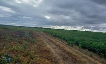 Imagem 7: FAZENDA 450 ALQUEIRES 12 KM DE SANTA MARIA