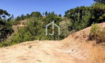 Imagem 4: Terreno aclive, de 1.010,00 m² - Jardim Três Nascentes - Campos do Jordão/SP