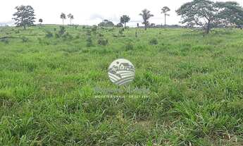 Imagem 2: Venda - Fazenda - Candeias do Jamari - 115 Alqueires Barata