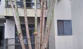 Imagem 2: Apartamento 01 suite 02 quatos chacara cachoeira lazer com piscina