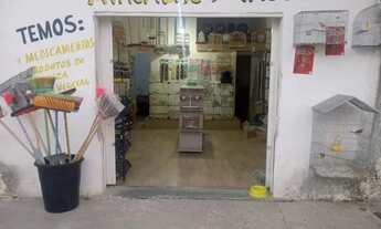 Imagem 3: Casa de ração Galpão / depósito com venda por R$25.000