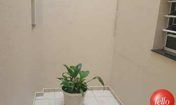 Imagem 3: São Paulo - Casa Padrão - Tatuapé